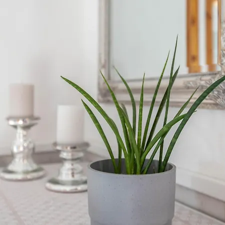 Apartmán Freiblick *